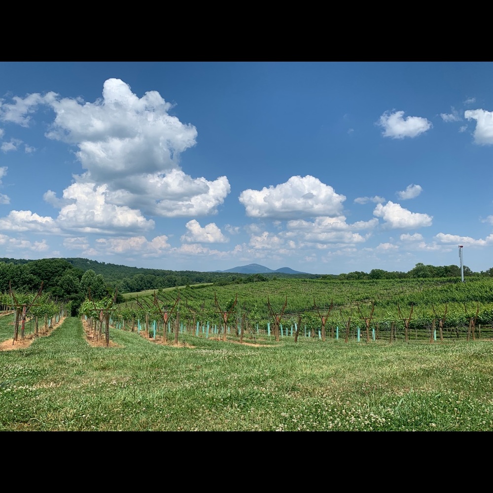 Meet your Posher, Victoria